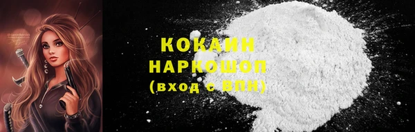 молекула духа Арсеньев
