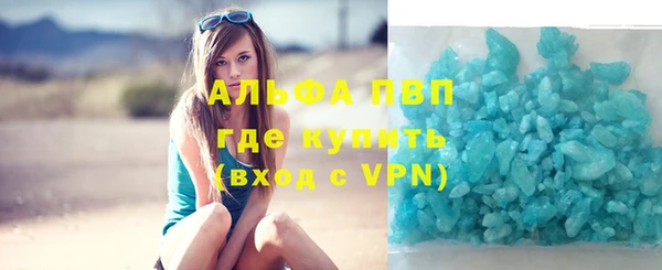 гидра Аркадак