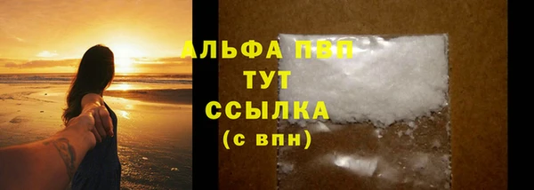 гидра Аркадак
