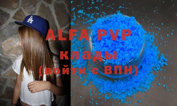 молекула духа Арсеньев
