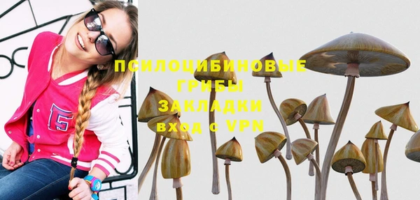 гидра Аркадак