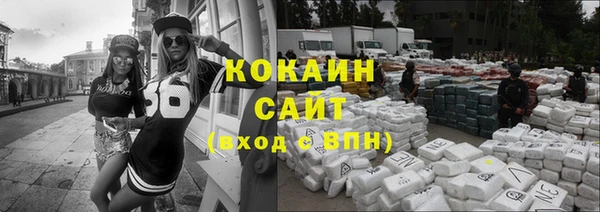 гидра Аркадак
