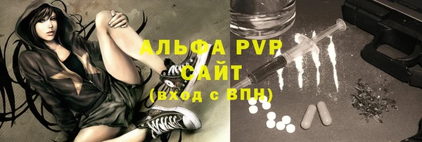 молекула духа Арсеньев