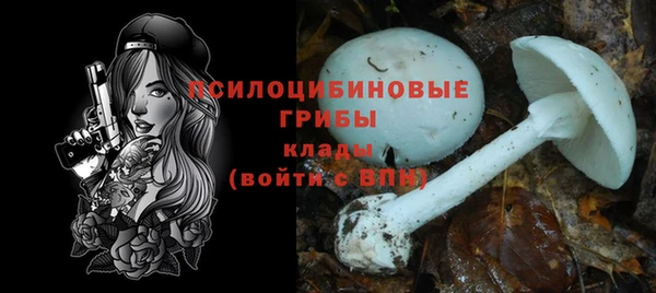 мдпв Ельня